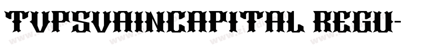 TVPSVainCapital regu字体转换
